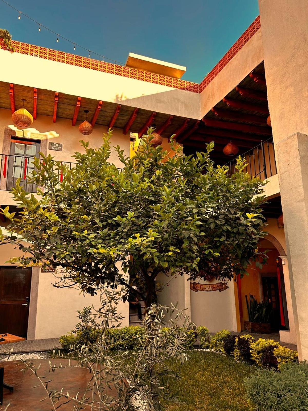 Bito'S Hotel Boutique San Miguel de Allende Exterior photo